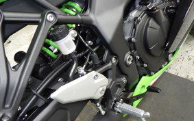 KAWASAKI ZX-4RR 2024 ZX400P