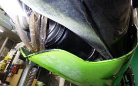 KAWASAKI KR250 KR250A