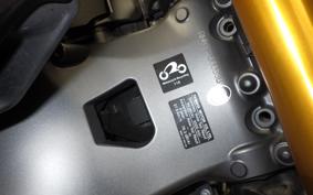YAMAHA MT-09 SP 2024 RN87J