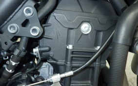 YAMAHA MT-25 2021 RG43J