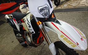 KTM 250 EXC F SIXDAYS EXA40