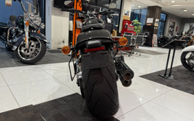 HARLEY  HARLEY FXBRS 2020 YHK