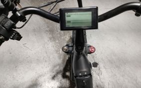 OTHER DENDOU BIKE  ..