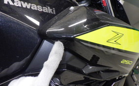 KAWASAKI Z250 Gen.2 2024 EX250P