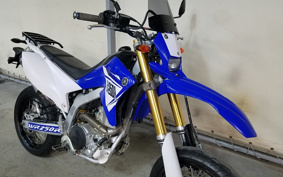 YAMAHA WR250R DG15J