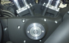 HARLEY XL883N 2014