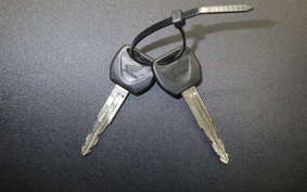 HONDA REBEL 250 2006 MC49