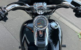 HARLEY  HARLEY FLSB 2025 YMJ