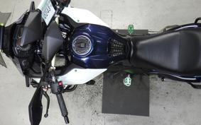 KAWASAKI VERSYS X250Aﾂｱﾗｰ LE250D