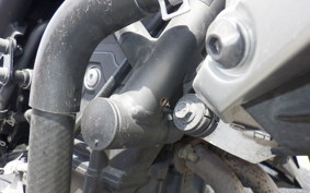YAMAHA MT-25 RG10J