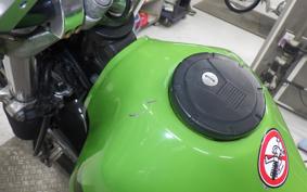 KAWASAKI SUPER SHERPA 2019 KL250G