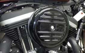 HARLEY XL883N 2016