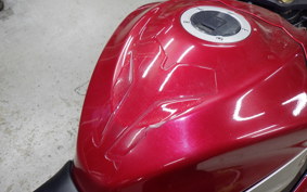 SUZUKI GSX-R1000 2009