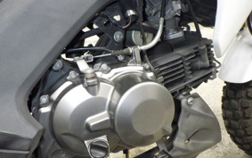KAWASAKI Z125 PRO BR125H