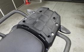 TRIUMPH TIGER 800 XC