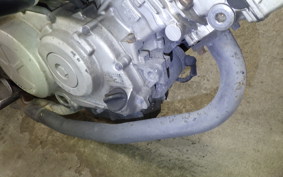 HONDA VTR 250 2025 MC33