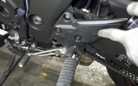 KAWASAKI NINJA 1000SX 2022 ZXT02K