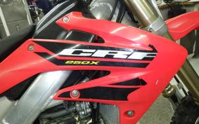 HONDA CRF250X
