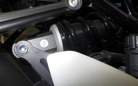 KAWASAKI Z900RS 2022 ZR900C