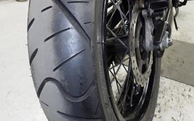 KAWASAKI KLX250D TRACKER X 2021 LX250V