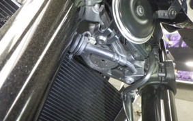 KAWASAKI Z900RS 2021 ZR900C