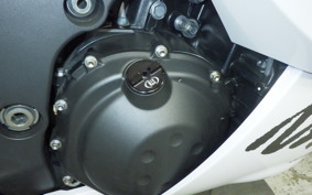 KAWASAKI ZX 1400 NINJA R A 2020