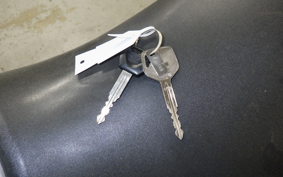 HONDA VTR 250 Gen. 2 2006 MC33