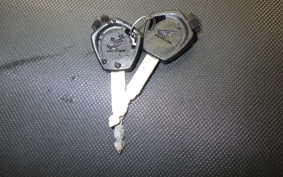 HONDA C110 SUPER CUB