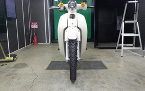 HONDA C110 SUPER CUB 2016 JA59