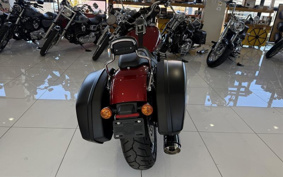 HARLEY FLSB 2019 YMJ