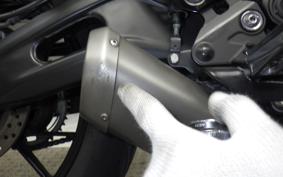 YAMAHA MT-07 2024 RM33J
