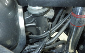 KAWASAKI NINJA 250 ABS 2020 EX250L