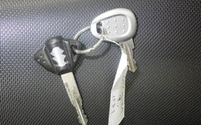 SUZUKI GSX250RA 2015