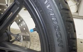 HARLEY RH975 2022