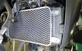 SUZUKI Vｽﾄﾛｰﾑ250