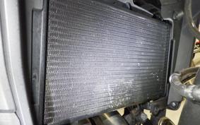 HONDA NX400 2024 NC65