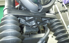 HONDA REBEL 250 S 2012 MC49