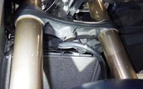 HONDA CBR400R 2022 NC56