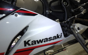 KAWASAKI NINJA ZX-6R A 2020 ZX636G