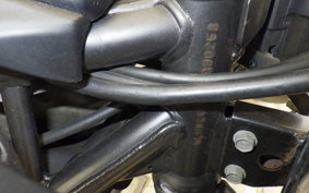 HONDA CBR250R 2010