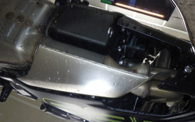 TRIUMPH DAYTONA 660 2025