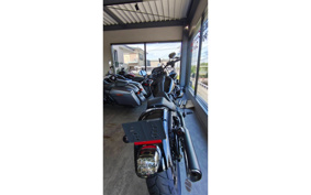 HARLEY FXLRS 2022 YWZ