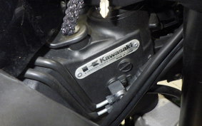 KAWASAKI NINJA 1000SX 2020