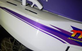 YAMAHA TT250R RAID 2009 4WA