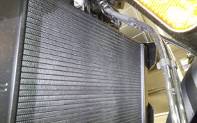 TRIUMPH TRIDENT 660 2026