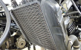 KAWASAKI ZZ-R250 2025 EX250H