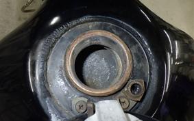 KAWASAKI SUPER SHERPA KL250G