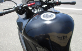 KAWASAKI NINJA 1000 2020 ZXT00W