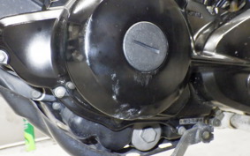 YAMAHA TW225 2025 DG09J
