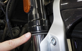 OTHER +ENFIELD SUPER ﾒﾃｵ650 2025